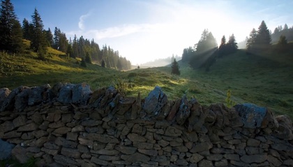 Europarc 2016 : Les Parcs, c'est nous !