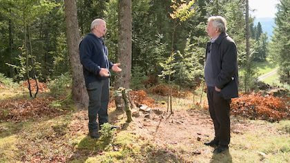 La forêt jardinée